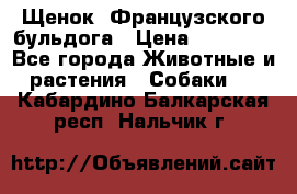 Щенок  Французского бульдога › Цена ­ 35 000 - Все города Животные и растения » Собаки   . Кабардино-Балкарская респ.,Нальчик г.